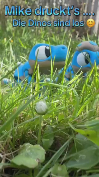 Dinosaurier einzeln....