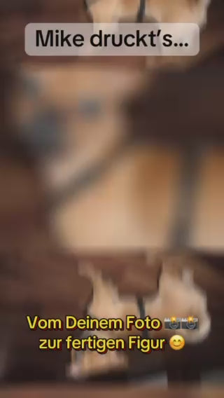 Dein Foto....deine 3D Figur